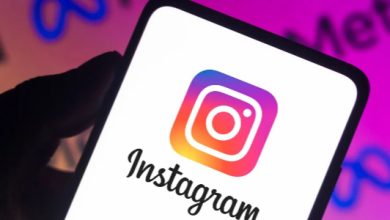 Discover the hottest Instagram trends with Picuki