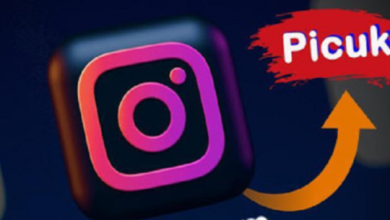 "Discover the hidden gems of Instagram with Picuki Com