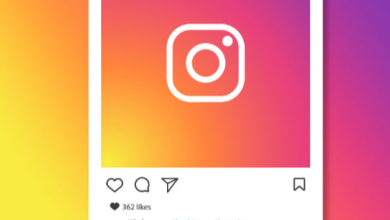 Unlock the secrets of Instagram profiles with Picnob