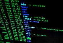 phone numbers for security