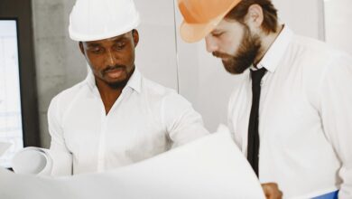 industry development insights report