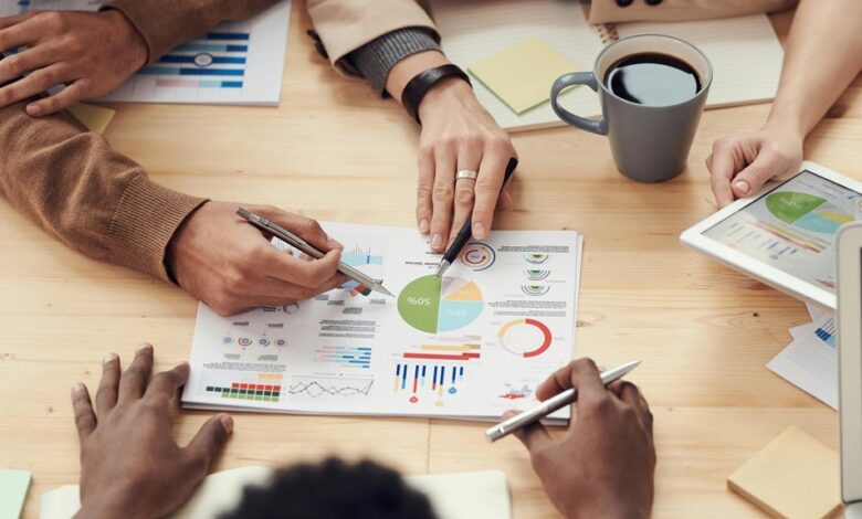 sector development analysis report