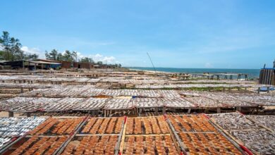 apex horizon start 9492054630