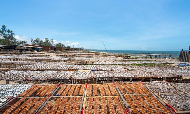 apex horizon start 9492054630