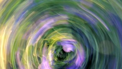 apex vortex start driving transformative success