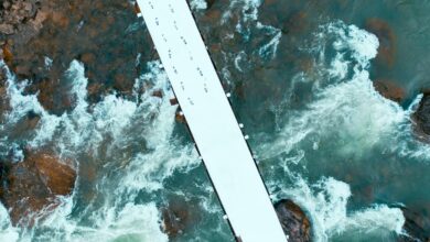 elevation flow start inspiring progressive excellence