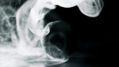 elevation sphere start 8 882 507 027 maximizing opportunity impact