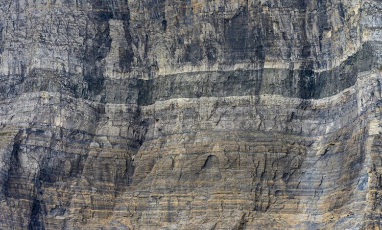 elevation surge start unlocking transformative potential