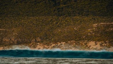 elevation wave initiates next level potential