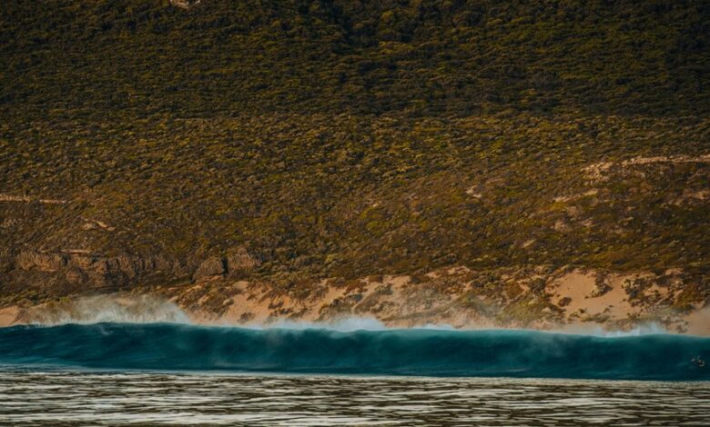 elevation wave initiates next level potential