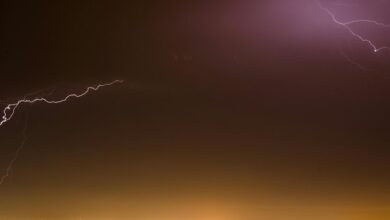 fusion surge start driving market leadership