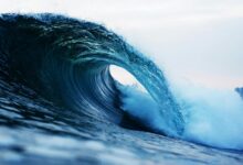 fusion wave start transformative leadership