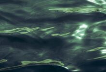luminous wave start 9567223199