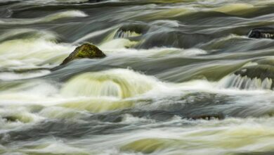 momentum flows from bold ventures