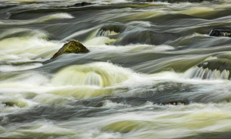 momentum flows from bold ventures