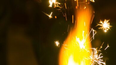 momentum spark start 8882042594 leading progressive ventures