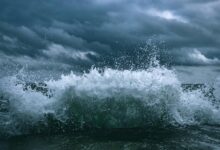 momentum surge start driving market excellence