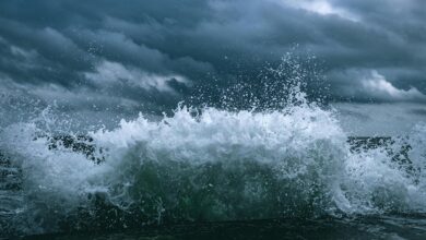 momentum surge start driving market excellence