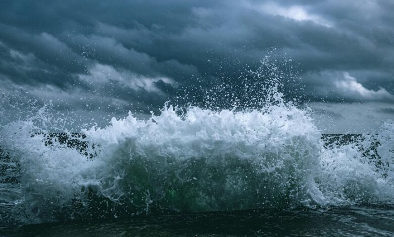 momentum surge start driving market excellence