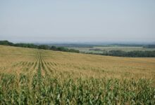 nova horizon fuels industry growth