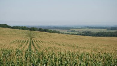 nova horizon fuels industry growth