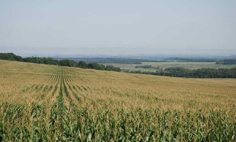 nova horizon fuels industry growth