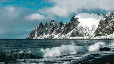 pinnacle wave start transformative growth