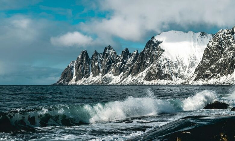 pinnacle wave start transformative growth