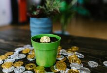 quantum crest start unlocking market potential