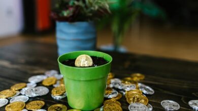 quantum crest start unlocking market potential