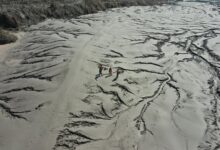 quantum wave inspires transformative impact