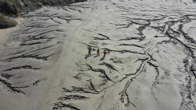 quantum wave inspires transformative impact