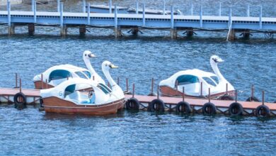 radiant flow start opportunities