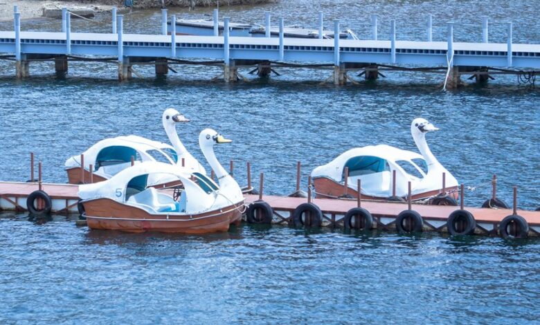 radiant flow start opportunities