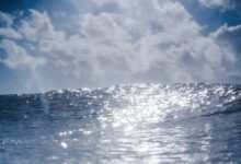 radiant wave start driving progressive leadership