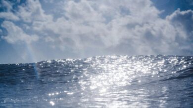 radiant wave start driving progressive leadership