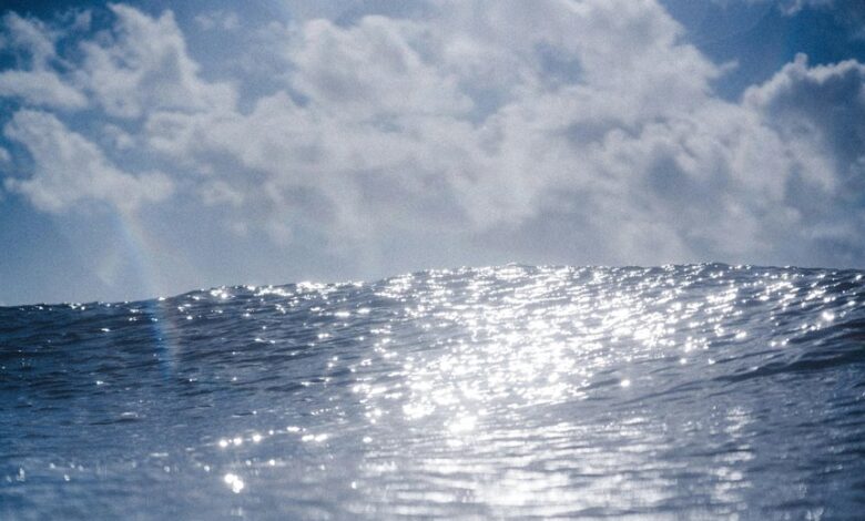 radiant wave start driving progressive leadership