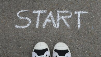 stellar crest startups accelerating growth