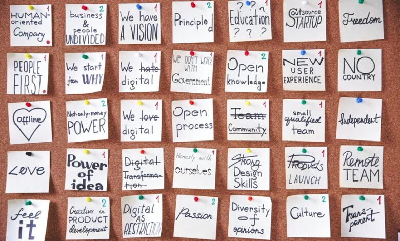 stellar flow start 9702860873