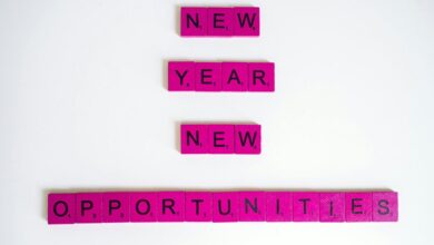 stellar prism start opportunities