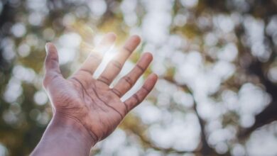 stellar surge start fueling visionary growth