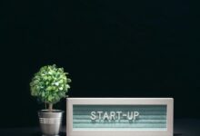 stellar surge start inspiring next level innovation