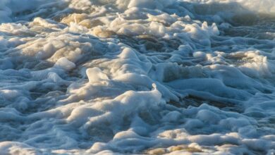 velocity crest start fueling innovation excellence