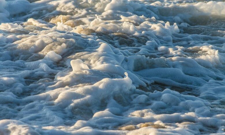 velocity crest start fueling innovation excellence