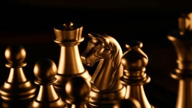 velocity prism unlocks strategic leadership