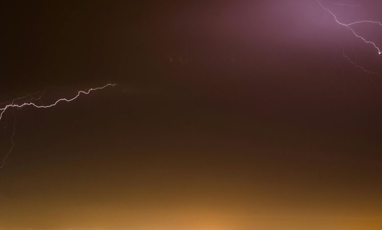 velocity surge driving market evolution