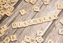 app service discovery portal robokiller phone number searches