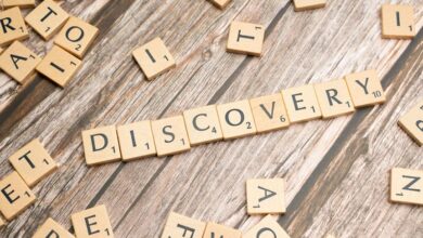 app service discovery portal robokiller phone number searches