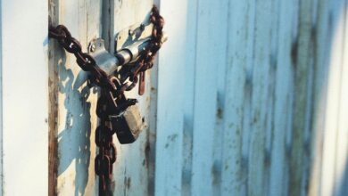 caller protection robocall insights portal