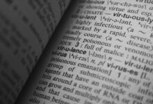 cultural keyword research hub